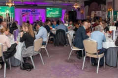 DSC_7052